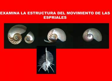 Compases aureos de dos puntas